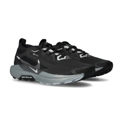 Zapatilla Pegasus Trail 5 Gore-Tex
