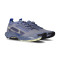 Nike Pegasus Trail 5 Gore-Tex  Mujer Running shoes