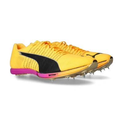 Evospeed Forte Elite Running Shoes