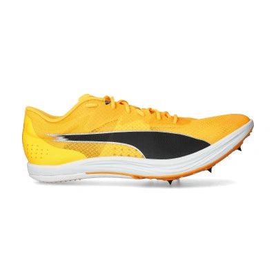 Evospeed Long Distance Running Shoes