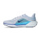 Sapatilha Nike Air Zoom Pegasus 41