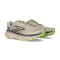 Zapatilla Brooks Cascadia 19