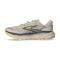 Zapatilla Brooks Cascadia 19
