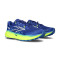 Zapatilla Brooks Cascadia 19