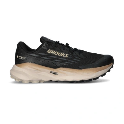 Cascadia 19 GTX Running Shoes