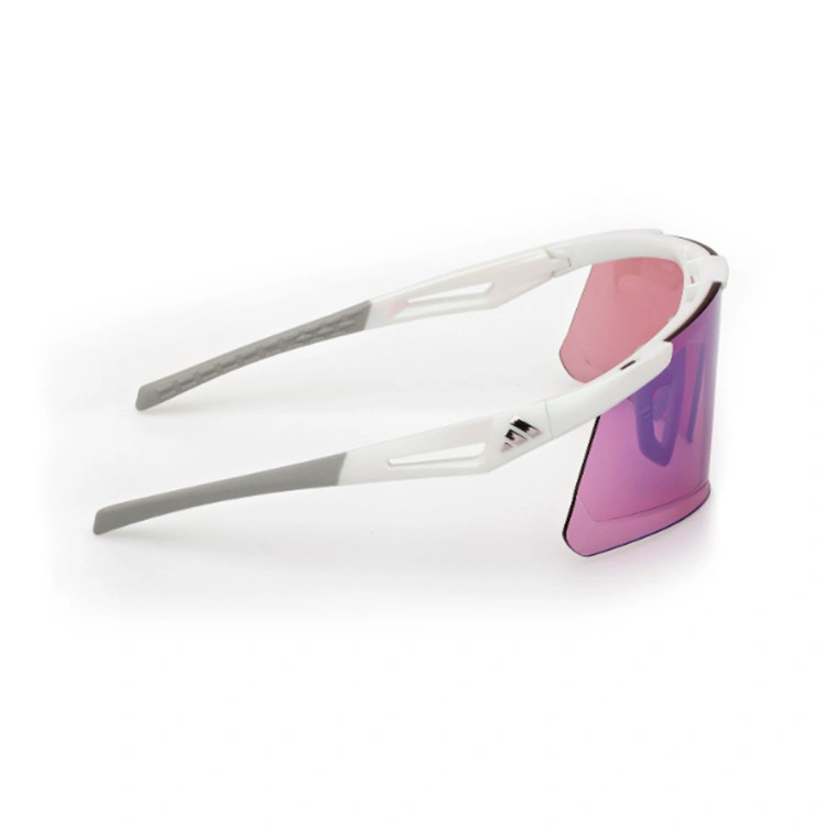 adidas-dunamis-evo-s-gradient-or-mirror-violet-2