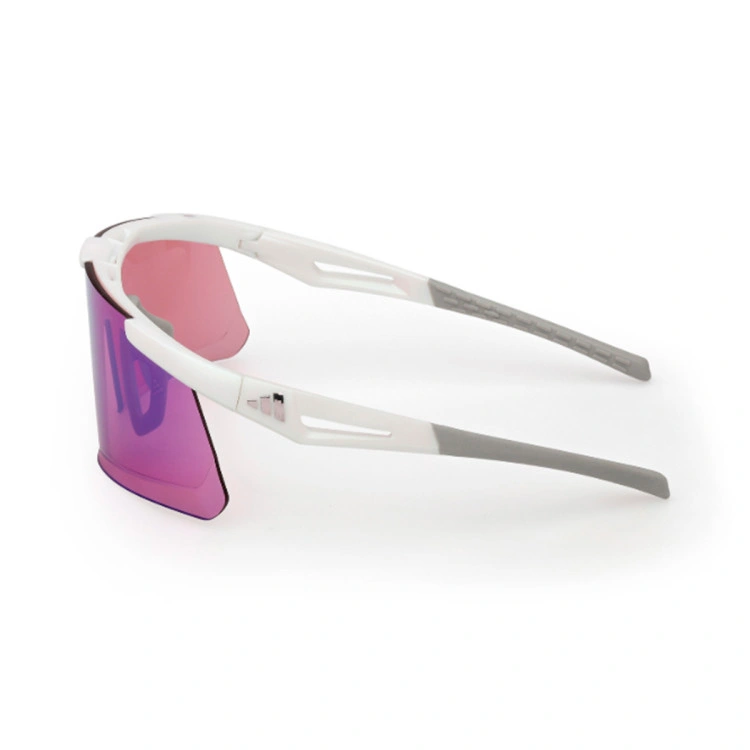 adidas-dunamis-evo-s-gradient-or-mirror-violet-3