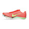 Nike Maxfly 2 Running shoes