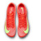 Nike Maxfly 2 Running shoes