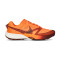 Nike Terra Kiger 10 Running shoes