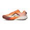 Nike Terra Kiger 10 Running shoes
