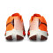 Nike Terra Kiger 10 Running shoes