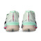 Nike Vaporfly 4 Running shoes