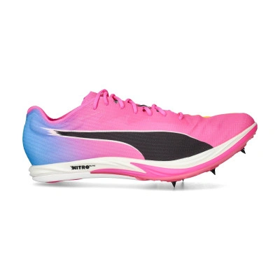 Chaussures EvoSPEED Long Distance Elite 3