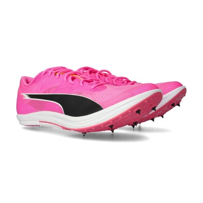 Chaussures EvoSPEED Long Distance