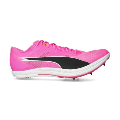 Chaussures EvoSPEED Long Distance
