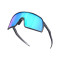 Oakley Sutro S Sunglasses