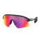 Gafas de sol Oakley Stunt Devil