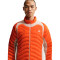 Chaqueta Nike ACG Lava Loft Therma-Fit