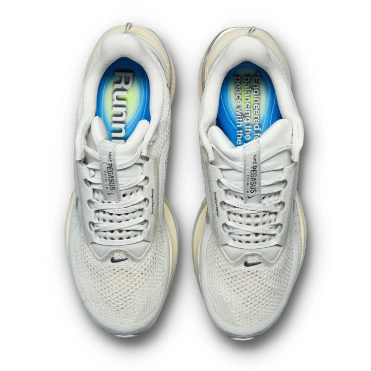 zapatilla-nike-pegasus-premium-platinum-tint-reflect-silver-grey-fog-iron-gr-5