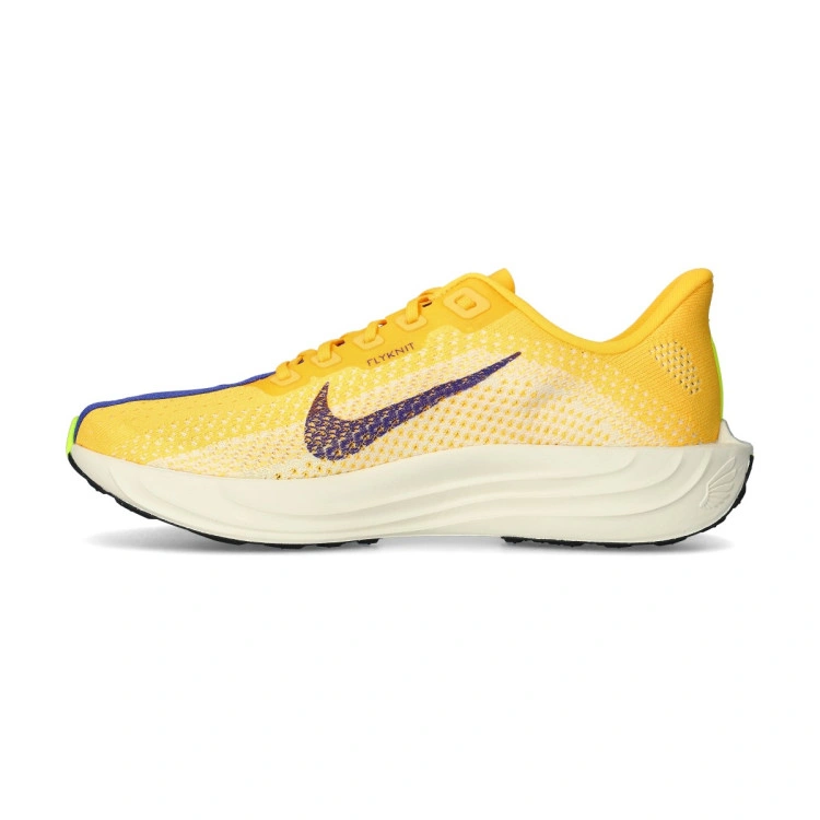 zapatilla-nike-pegasus-plus-multicolor-2