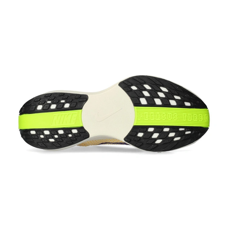 zapatilla-nike-pegasus-plus-multicolor-3