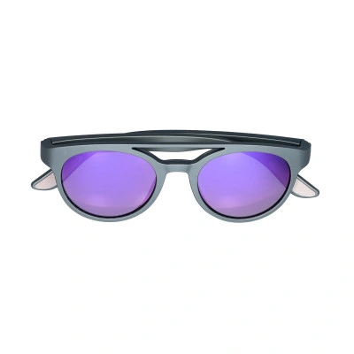 The New Prospector Sunglasses