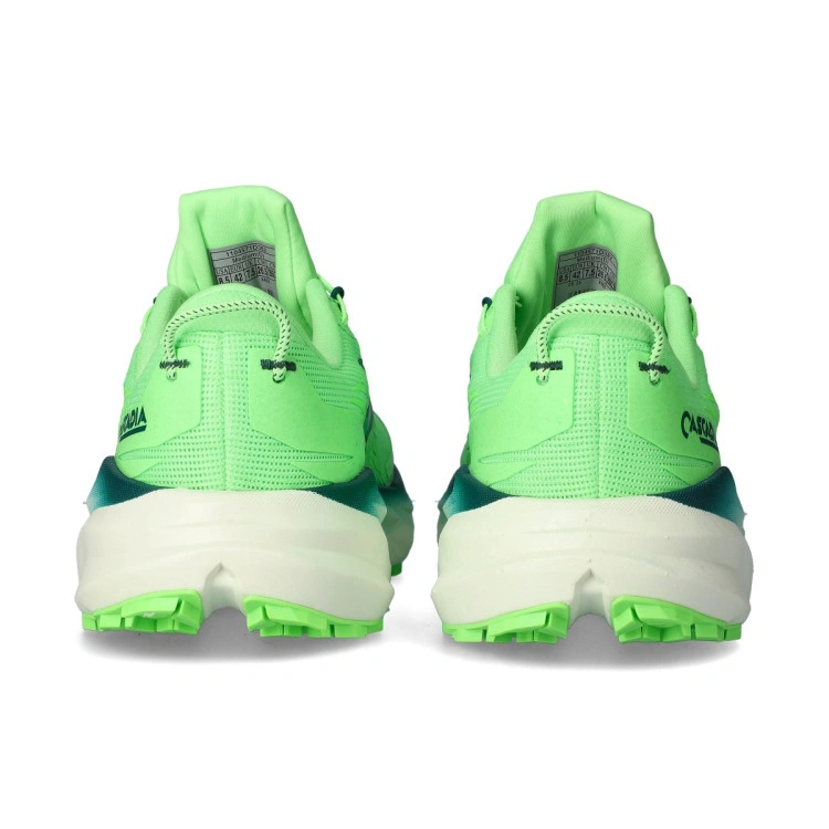 zapatilla-brooks-cascadia-19-multicolor-4