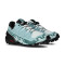 Salomon Women Speedcross 6 Gtx Running Shoes