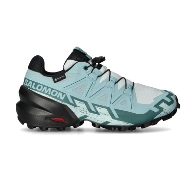Women Speedcross 6 Gtx Running Shoes