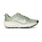 Nike ACG Pegasus Trail Running Shoes