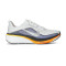 Chaussures Nike Pegasus 42