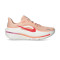 Nike Winflo 12 Damen Laufschuhe