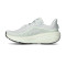 Zapatilla Nike Winflo 12 Mujer