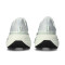 Zapatilla Nike Winflo 12 Mujer