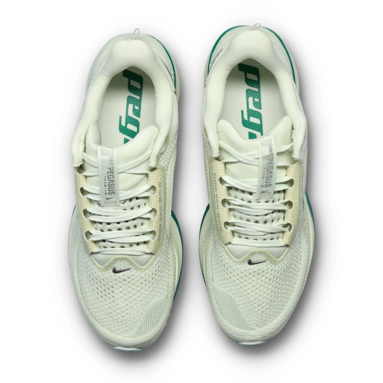 zapatilla-nike-pegasus-premium-mujer-sea-glass-mtlc-silver-malachite-lt-silver-pho-5
