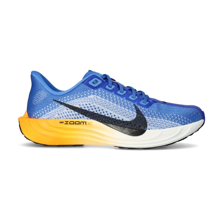 zapatilla-nike-pegasus-plus-multicolor-1