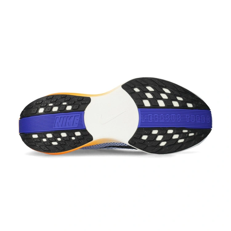 zapatilla-nike-pegasus-plus-multicolor-2