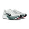 Nike Pegasus 42 Running Shoes