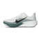 Nike Pegasus 42 Running Shoes