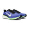 Nike Pegasus 42 Running Shoes