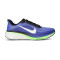 Nike Pegasus 42 Running Shoes