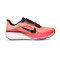 Scarpe Nike Pegasus 42 da Donna