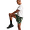 Pantalón corto Nike ACG Dri-Fit Scnd Snrse 6 Sh Aop