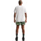 Pantalón corto Nike ACG Dri-Fit Scnd Snrse 6 Sh Aop