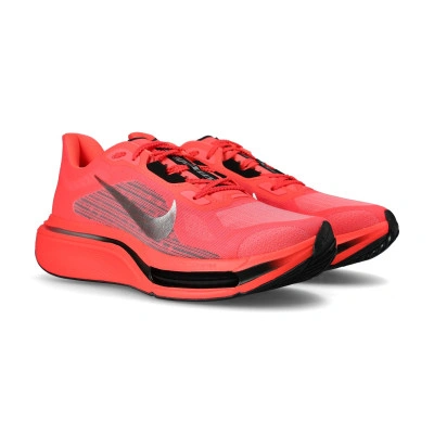 Scarpe Pegasus Plus 2