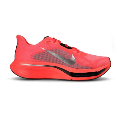 Scarpe Pegasus Plus 2