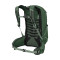 Mochila Osprey Talon 22 Green Canopy Pine Leaf OS