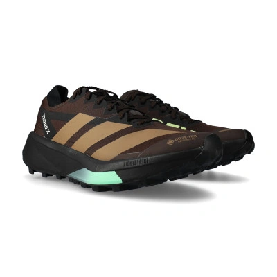 Terrex Agravic Gore-Tex 2 Laufschuhe