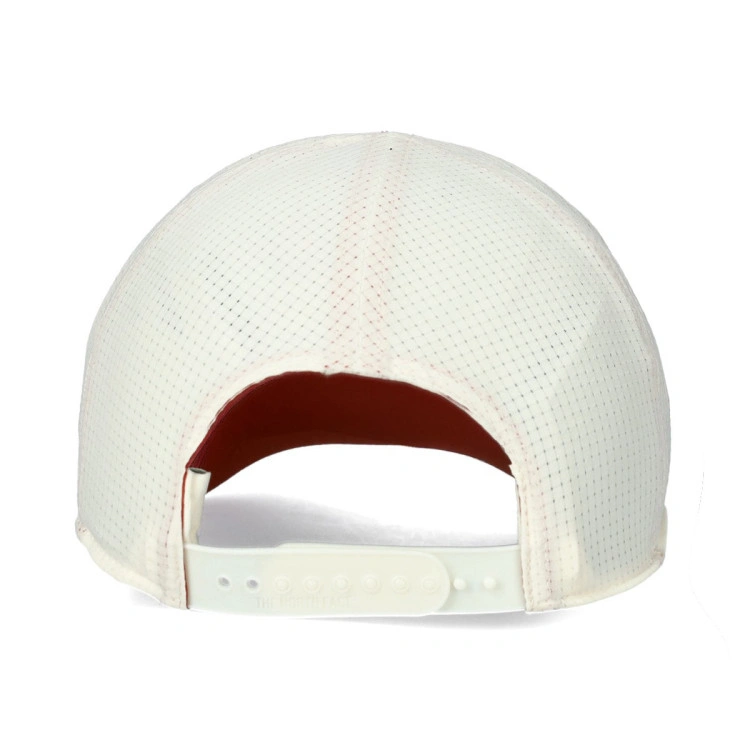 gorra-the-north-face-summer-tl-trucker-multicolor-2
